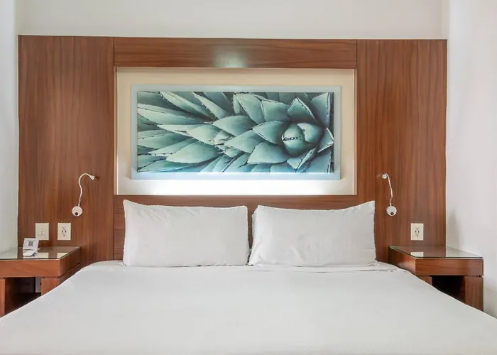 La Jolla Krystal Apto 310 Apartment San Jose del Cabo