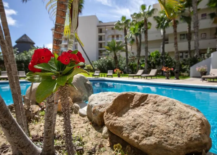 La Jolla Krystal Apto 310 * San Jose del Cabo